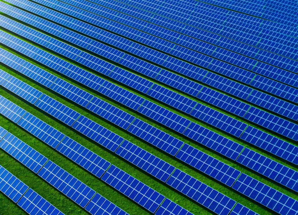 Solar Panels Lined Up In Field